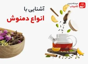 آشنایی با انواع دمنوش های گیاهی مفید برای سلامتی و آرامش بدن